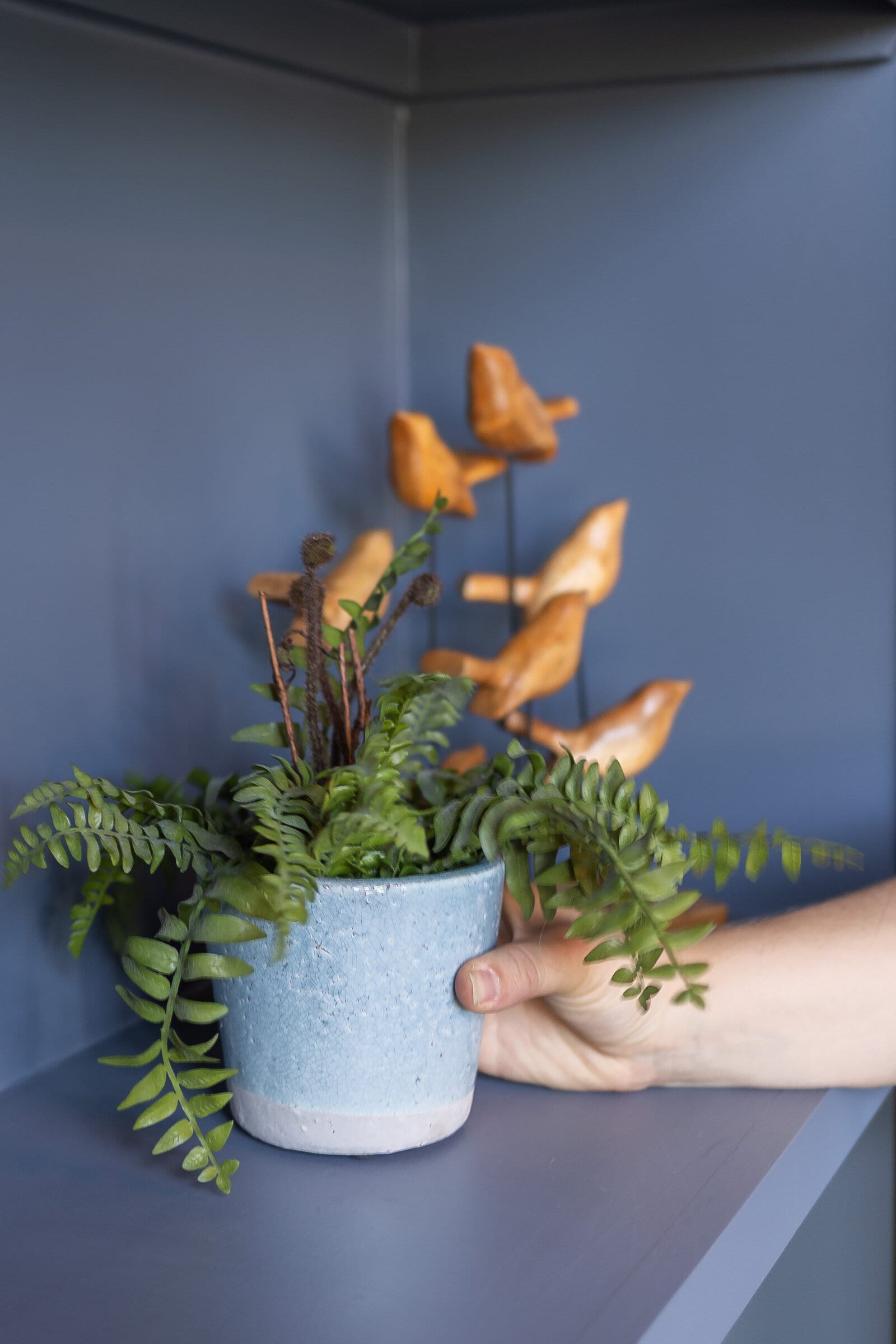 Hands setting a speckled stone planter of trailing greenery onto a navy console table