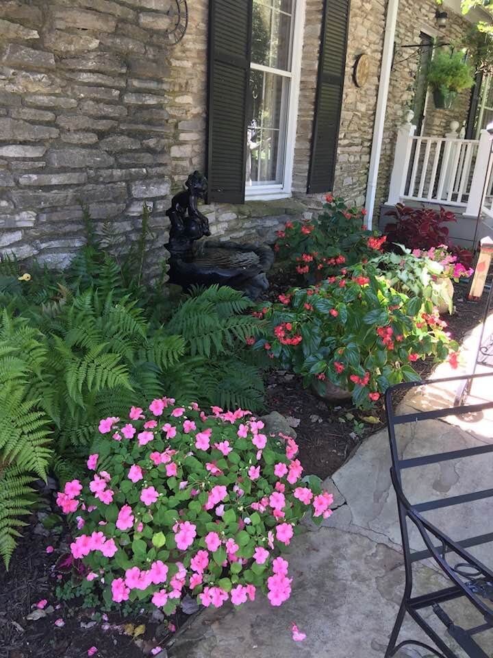 A shaded garden bed of pink impatiens, red begonias and ferns against a stone wall, with a dark stone birdbath